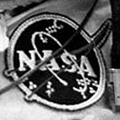 NASA vector Type III patch